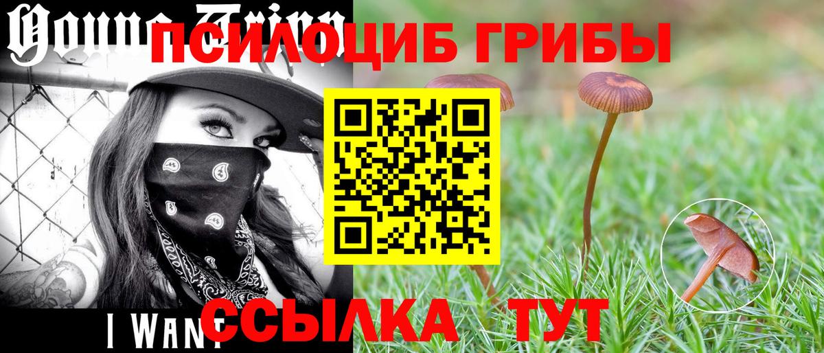 Ноябрьск  где купить   Псилоцибиновые грибы мухоморы  Вход с VPN  Псилоцибиновые грибы MAGIC MUSHROOMS 